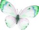 images/mymoments/294/02_KARAKTEREK/1_gyerek/pillango/03/zold_trimmed.png