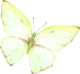 images/mymoments/294/02_KARAKTEREK/1_gyerek/pillango/04/sarga_trimmed.png
