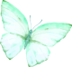 images/mymoments/294/02_KARAKTEREK/1_gyerek/pillango/04/zold_trimmed.png