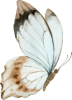 images/mymoments/294/02_KARAKTEREK/1_gyerek/pillango/05/barna_trimmed.png