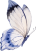 images/mymoments/294/02_KARAKTEREK/1_gyerek/pillango/05/kek_trimmed.png