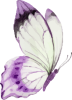 images/mymoments/294/02_KARAKTEREK/1_gyerek/pillango/05/lila_trimmed.png