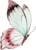 images/mymoments/294/02_KARAKTEREK/1_gyerek/pillango/05/piros_trimmed.png