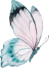 images/mymoments/294/02_KARAKTEREK/1_gyerek/pillango/05/turkiz_trimmed.png