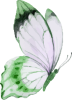 images/mymoments/294/02_KARAKTEREK/1_gyerek/pillango/05/zold_trimmed.png