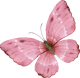 images/mymoments/295/02_KARAKTEREK/1_gyerek/pillango/01/piros_trimmed.png