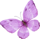 images/mymoments/295/02_KARAKTEREK/1_gyerek/pillango/01/rozsaszin_trimmed.png