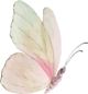 images/mymoments/295/02_KARAKTEREK/1_gyerek/pillango/02/piros_trimmed.png