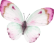images/mymoments/295/02_KARAKTEREK/1_gyerek/pillango/03/rozsaszin_trimmed.png