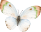images/mymoments/295/02_KARAKTEREK/1_gyerek/pillango/03/sarga_trimmed.png