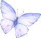 images/mymoments/295/02_KARAKTEREK/1_gyerek/pillango/04/kek_trimmed.png