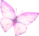 images/mymoments/295/02_KARAKTEREK/1_gyerek/pillango/04/rozsaszin_trimmed.png