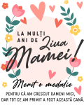 images/mymoments/297/02_bogre_hatoldala/02_trimmed.png