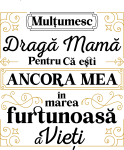 images/mymoments/297/02_bogre_hatoldala/ancora_mea_trimmed.png