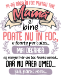 images/mymoments/297/02_bogre_hatoldala/m-aș_băga_in_foc_pentru_tine,_mamă_trimmed.png