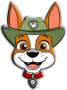 images/mymoments/316/01_KARAKTEREK/1_gyerek/gyerek/copilul/tracker_head_trimmed.png