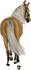 images/mymoments/35/02_PaciB/HORSERIDING0001_trimmed.png