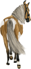 images/mymoments/35/02_PaciB/HORSERIDINGC0045_trimmed.png
