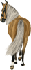images/mymoments/35/03_PaciJ/HORSERIDING0001_trimmed.png