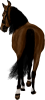images/mymoments/35/03_PaciJ/HORSERIDINGC0012_trimmed.png