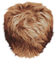 images/mymoments/58/04_PASIHAJ/Hair_25_trimmed.png