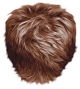 images/mymoments/58/04_PASIHAJ/Hair_26_trimmed.png