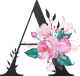 images/mymoments/62/02_letters/01_Viragos/01_A_trimmed.png