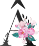 images/mymoments/62/02_letters/01_Viragos/02_a_trimmed.png