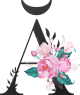 images/mymoments/62/02_letters/01_Viragos/03_ă_trimmed.png