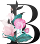 images/mymoments/62/02_letters/01_Viragos/04_B_trimmed.png