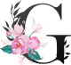 images/mymoments/62/02_letters/01_Viragos/10_G_trimmed.png