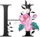 images/mymoments/62/02_letters/01_Viragos/11_H_trimmed.png