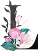 images/mymoments/62/02_letters/01_Viragos/16_L_trimmed.png