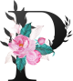 images/mymoments/62/02_letters/01_Viragos/20_P_trimmed.png