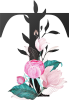 images/mymoments/62/02_letters/01_Viragos/25_T_trimmed.png