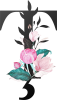 images/mymoments/62/02_letters/01_Viragos/26_ț_trimmed.png