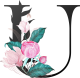 images/mymoments/62/02_letters/01_Viragos/27_U_trimmed.png