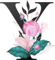 images/mymoments/62/02_letters/01_Viragos/31_Y_trimmed.png