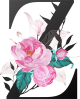 images/mymoments/62/02_letters/01_Viragos/32_Z_trimmed.png