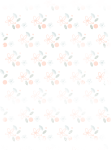 fond-3 fond-3