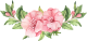 images/mymoments/71/03_diszi/03_trimmed.png