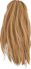 images/mymoments/81/01_L/Hosszu/19-C_trimmed.png
