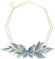 images/mymoments/84/08_diszites/02_trimmed.png