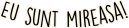 images/mymoments/98/01_FELIRATOK/02_trimmed.png