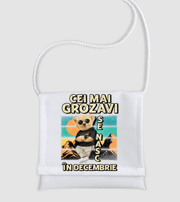 RETRO teddy DECEMBRIE model alb pe tricou