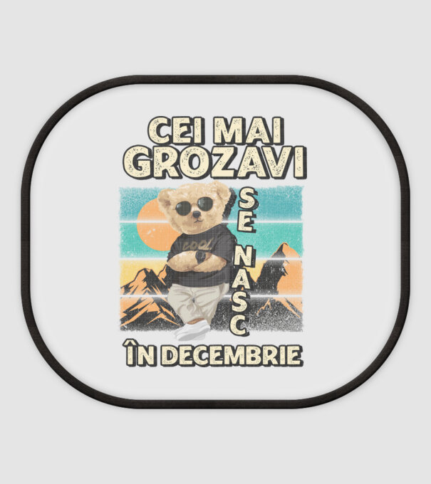 RETRO teddy DECEMBRIE model alb pe tricou