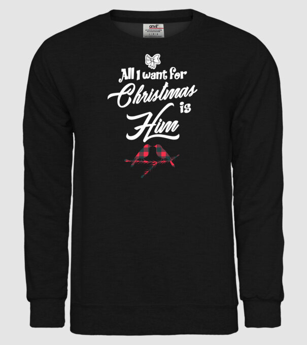 All i want for Christmas is Him model negru pe tricou