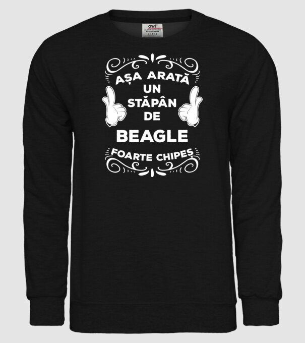 Așa arată un stăpân de Beagle foarte chipeș model negru pe tricou