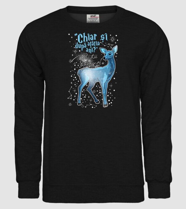 Harry Potter Valentine model negru pe tricou