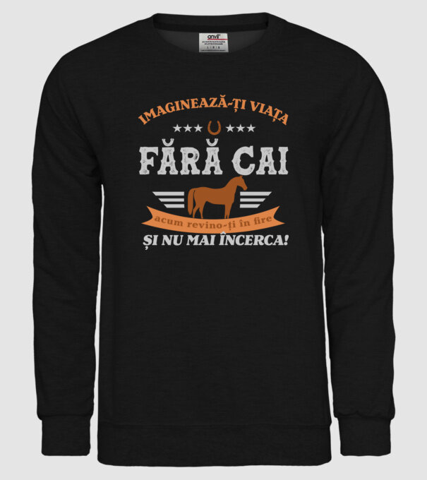 Imaginează-ți viața fără cai, acum revino-ți în fire și nu mai încerca! model negru pe tricou